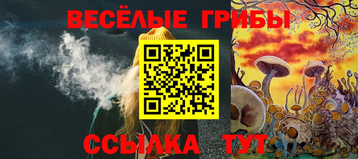 Галлюциногенные грибы прущие грибы  Псилоцибиновые грибы Psilocybine cubensis  Северобайкальск  Вход с VPN 